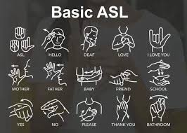 From Roots to Signs: The Origins of ASL Club & Here at IKE