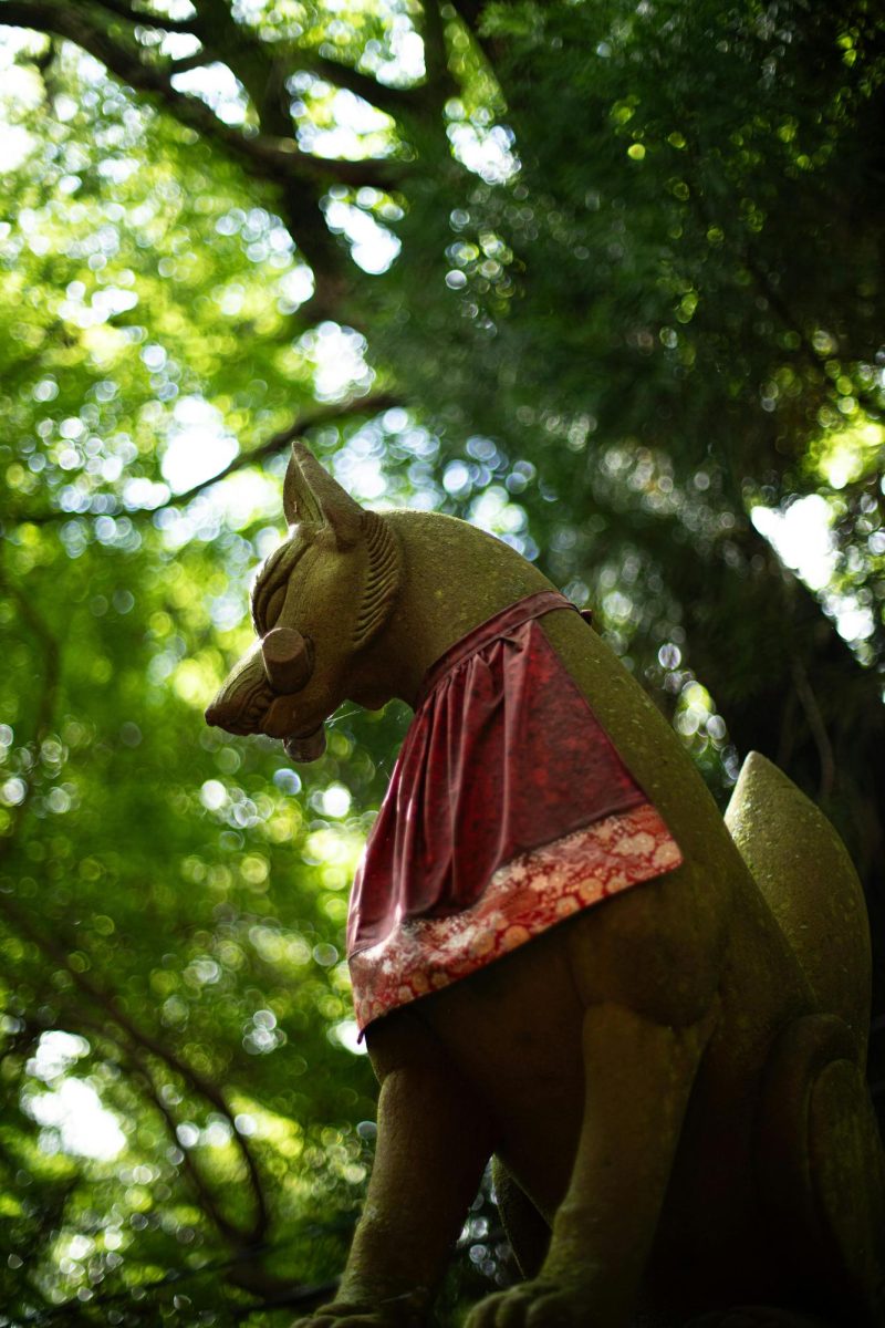 Foxes Across Cultures: Trickster to Guardian