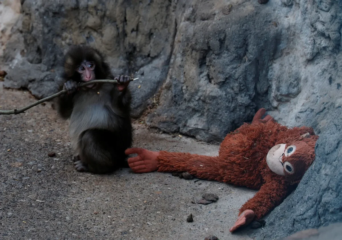 Punch The Masque Monkey